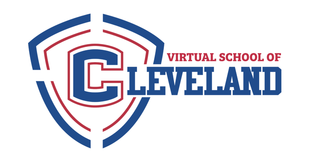 Virtual School Logo