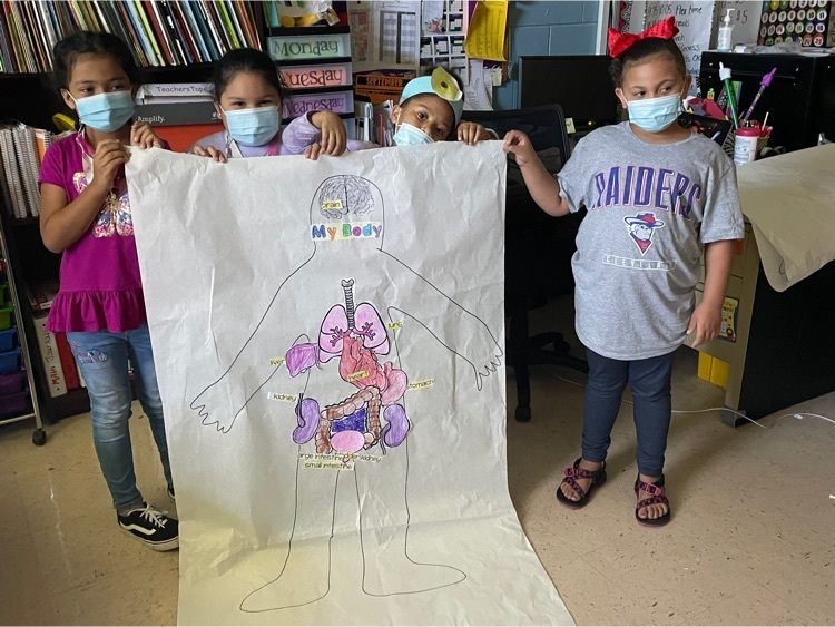 Human body posters